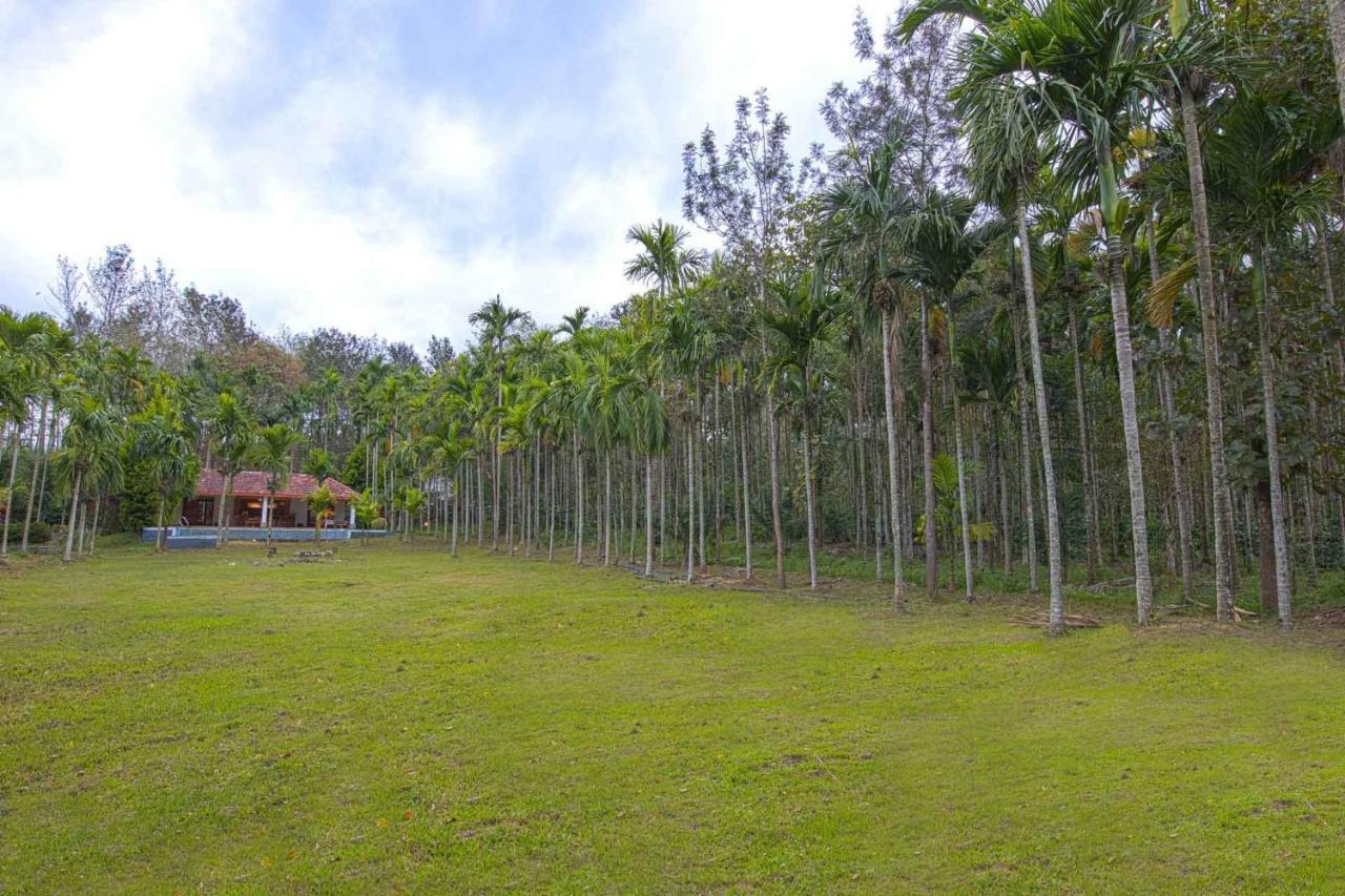 Stayvista At Tall Silver With Infinity Pool & Breakast Madikeri Eksteriør bilde